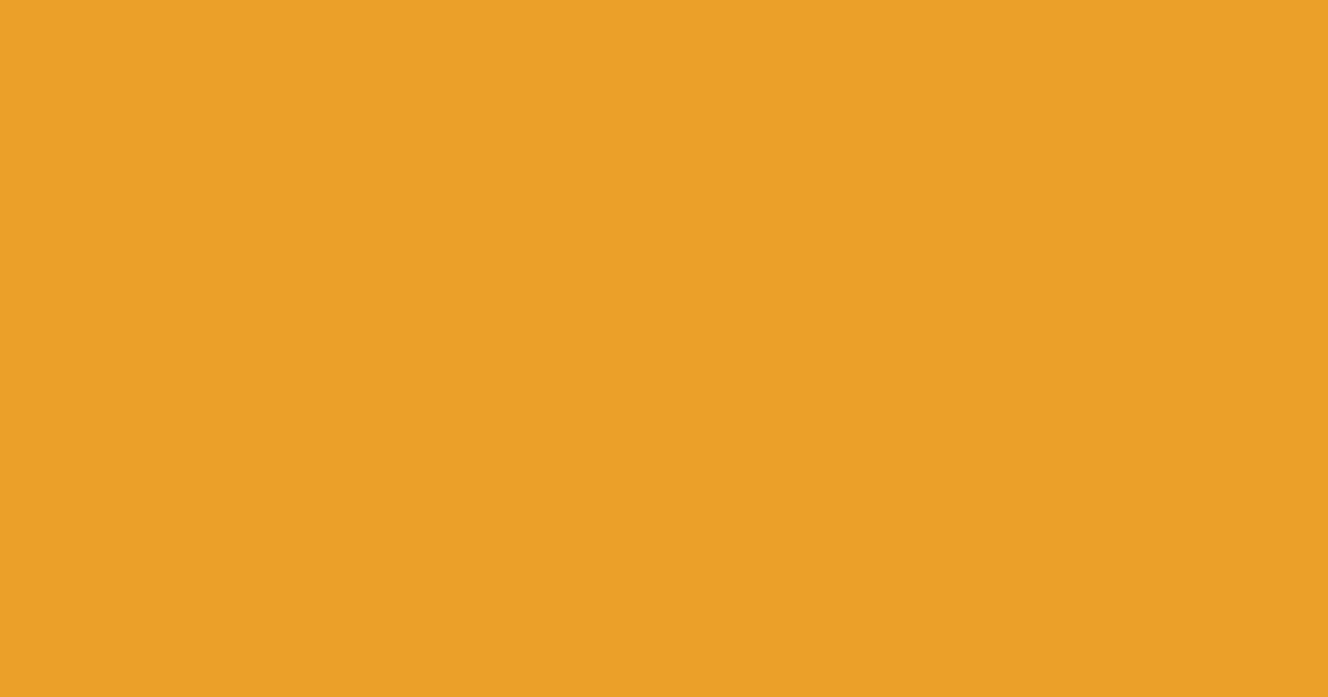 Колір N306 rgb(235, 160, 42)