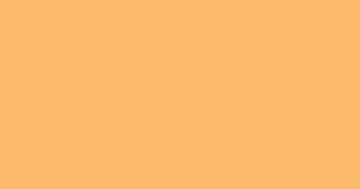 Колір K310 rgb(251, 186, 108)