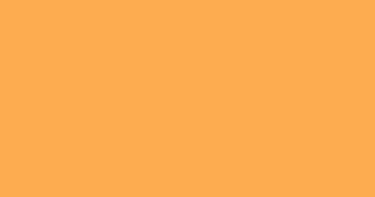 Колір L310 rgb(253, 172, 80)
