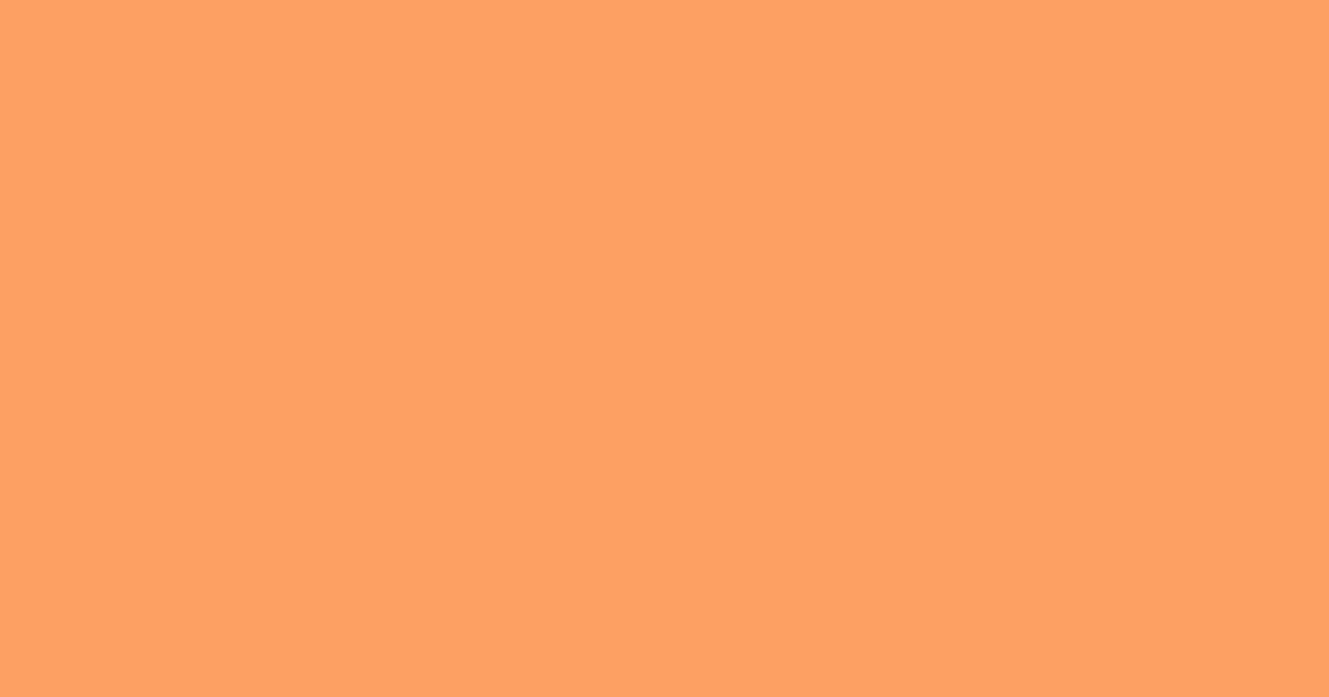 Колір L312 rgb(252, 161, 99)