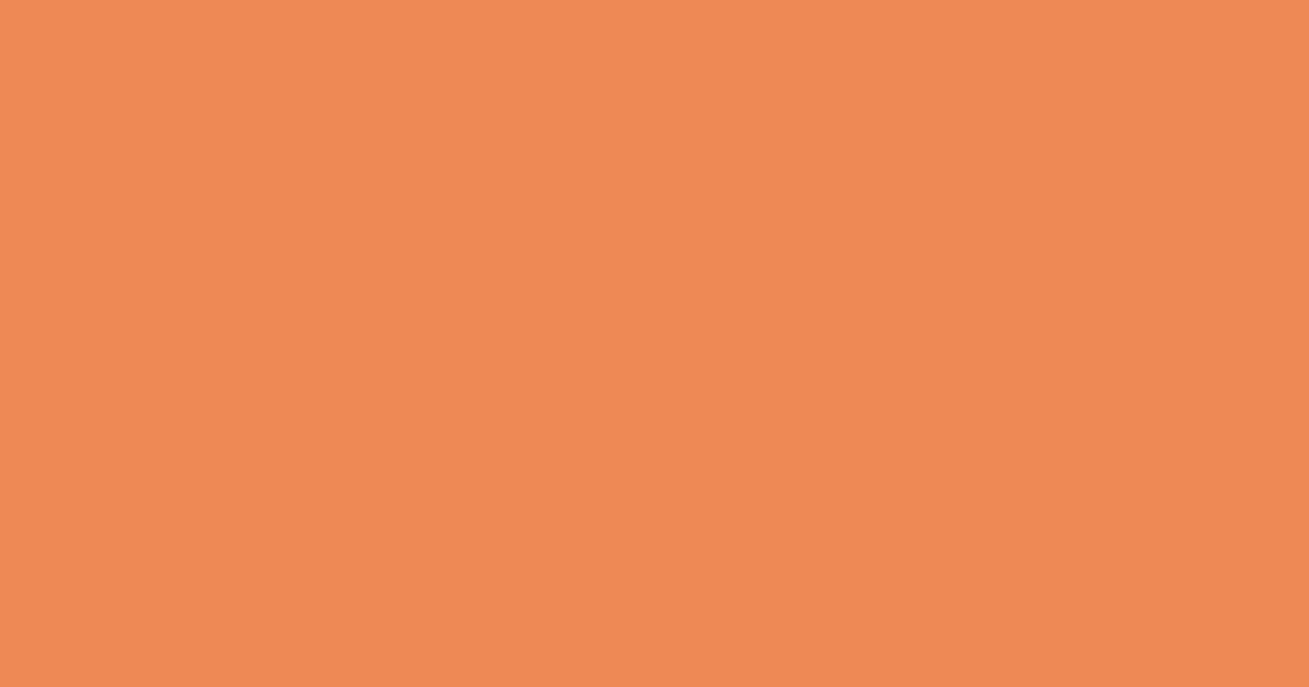 Колір S313 rgb(238, 137, 85)