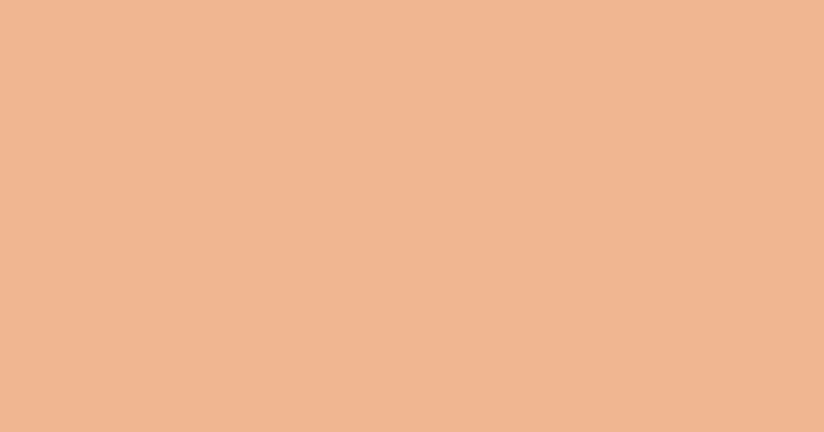 Колір X315 rgb(240, 182, 146)