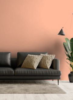 H316