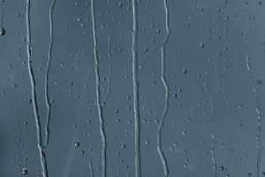 M436 Королевский