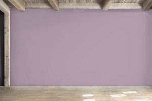 X425 Черничное молоко