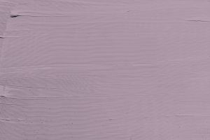 X425 Черничное молоко