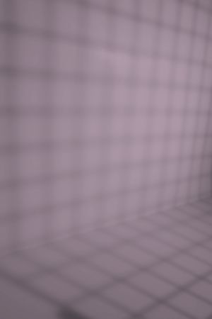 X425 Черничное молоко