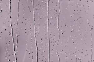 X425 Черничное молоко