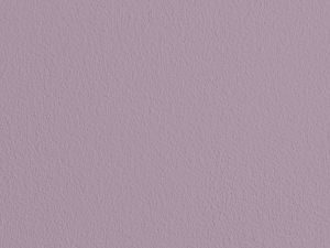 X425 Черничное молоко