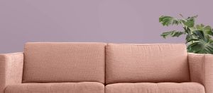 X425 Черничное молоко