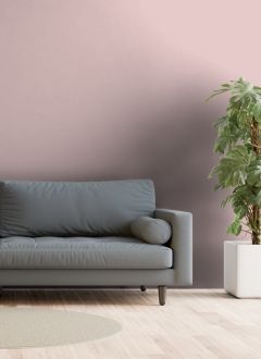 X333