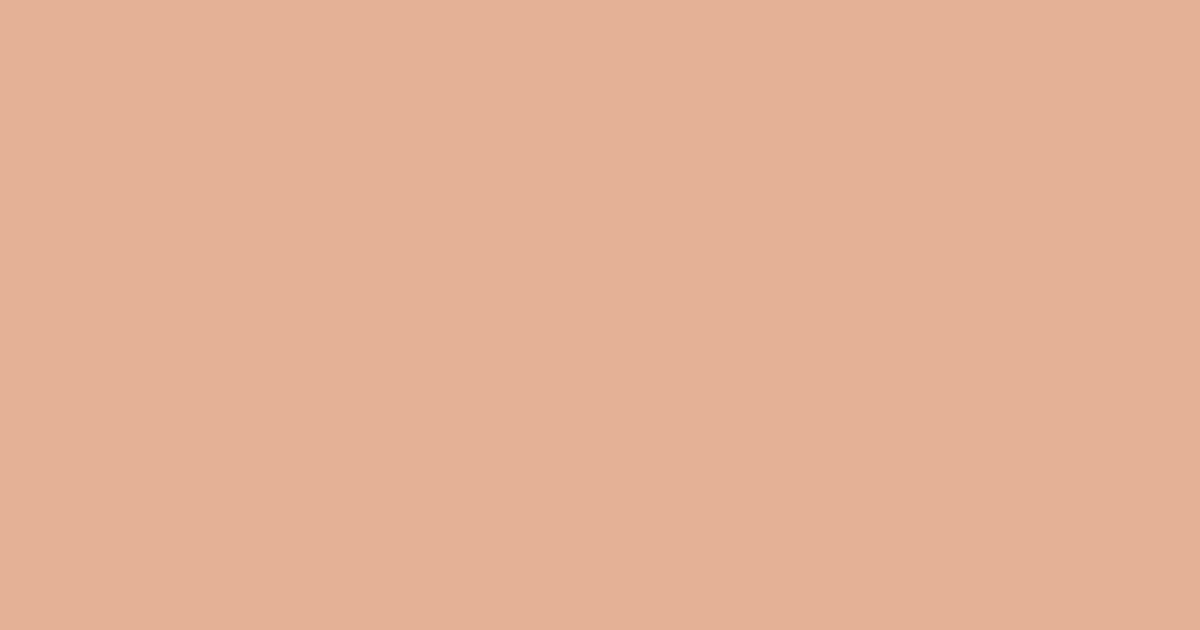 Колір J407 Сиеста rgb(228, 177, 148)