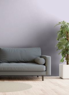 G344