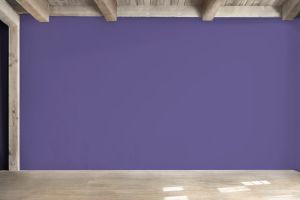 L344