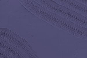 N344