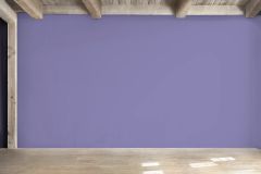 S344