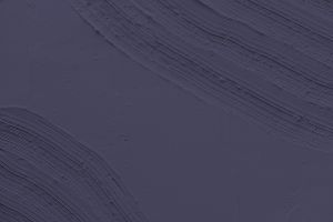 N345