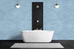 V355