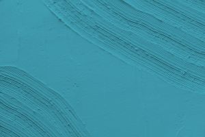 J365