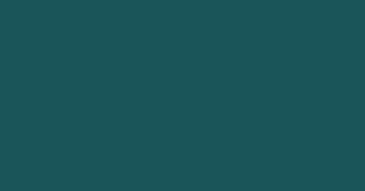 Колір M367 Аквамарин rgb(26, 86, 89)
