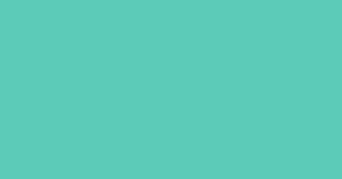 Колір J371 rgb(92, 205, 184)