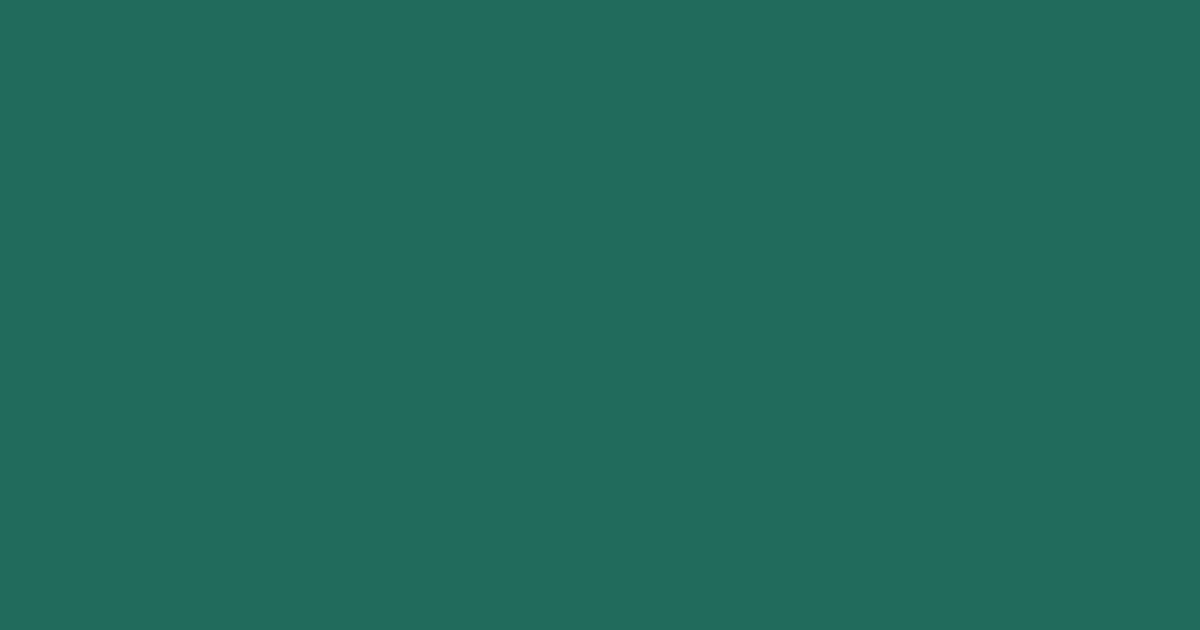 Колір N373 rgb(32, 107, 91)