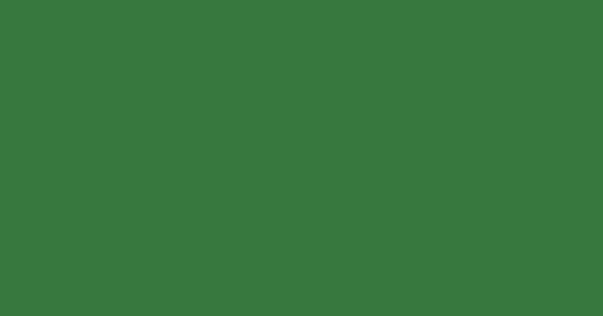 Колір L379 rgb(55, 120, 62)