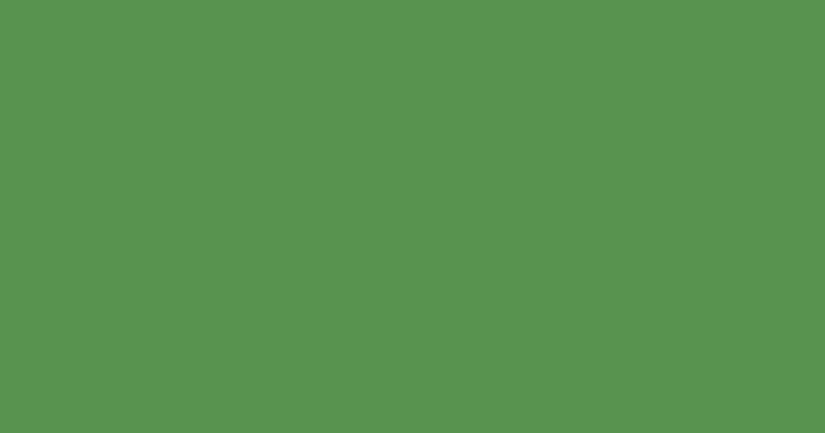 Колір L380 rgb(88, 147, 79)
