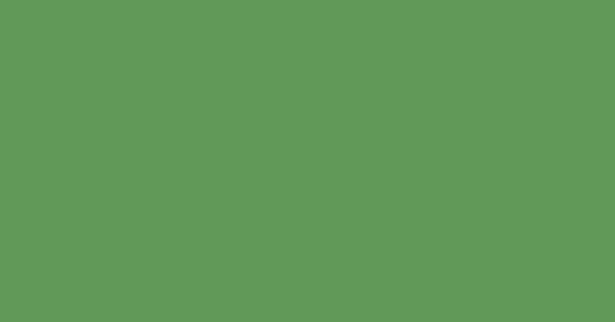 Колір S380 rgb(96, 153, 88)