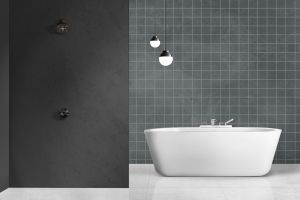 V493 Млечный путь