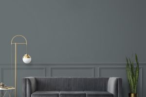 V493 Млечный путь