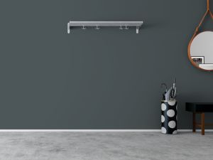 V493 Млечный путь