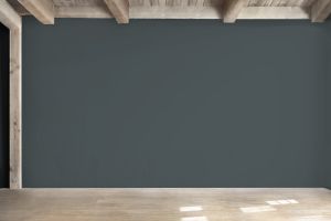 V493 Млечный путь