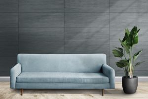 V493 Млечный путь