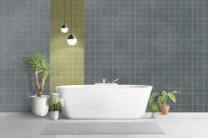 V493 Млечный путь