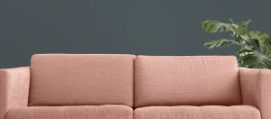 V493 Млечный путь