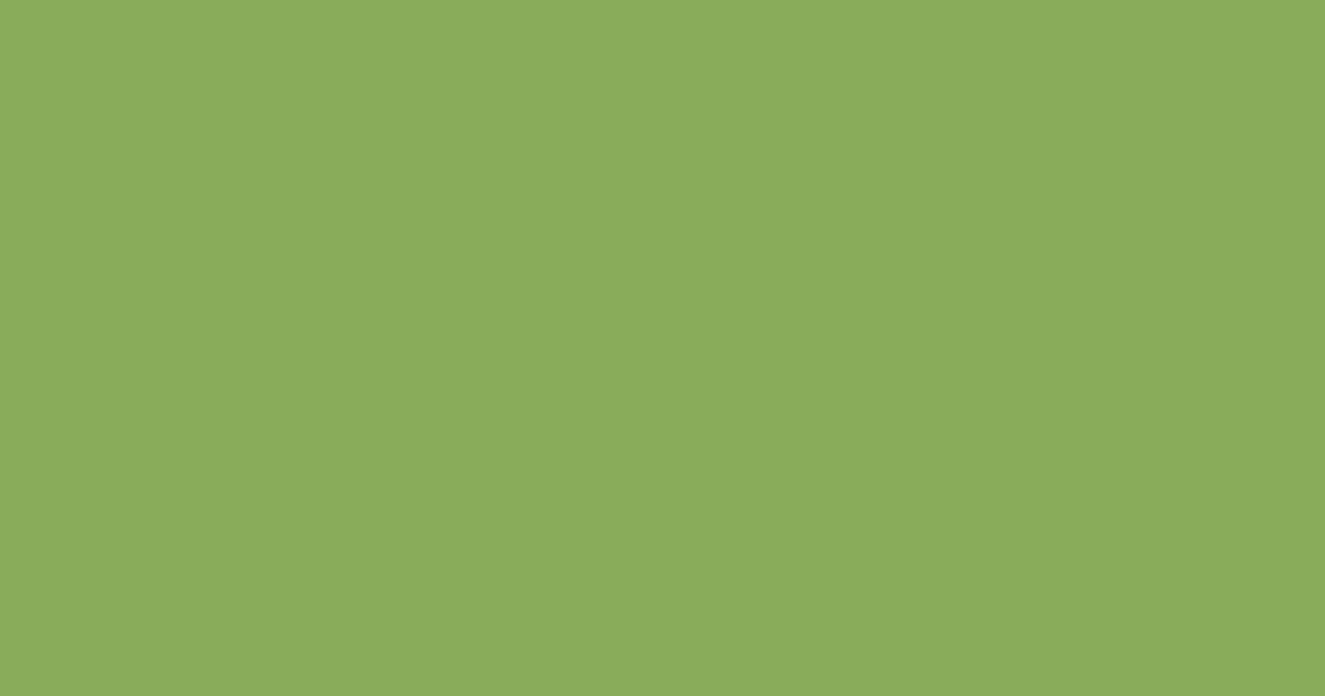 Колір N382 rgb(137, 172, 91)
