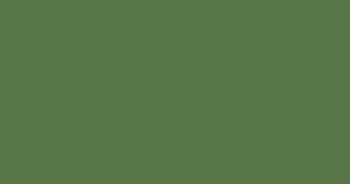 Колір M383 rgb(88, 118, 71)