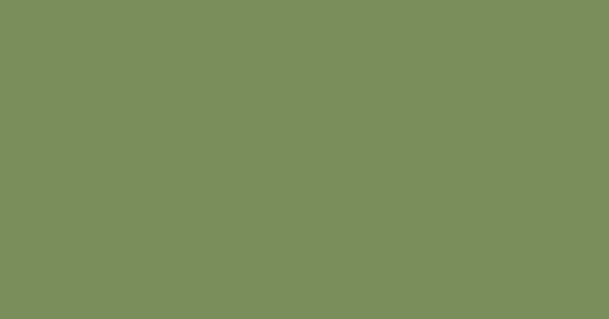 Колір L384 rgb(121, 142, 90)