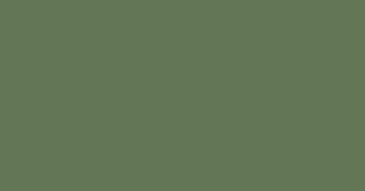Колір N384 rgb(99, 118, 85)