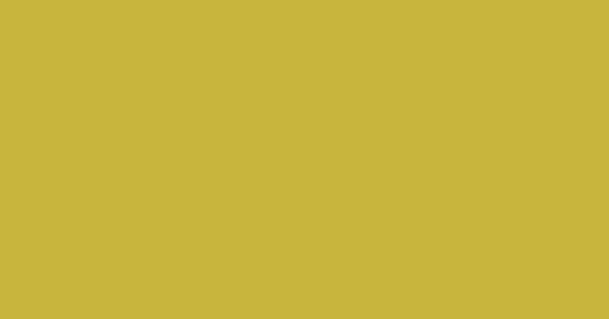 Колір L389 rgb(199, 181, 62)