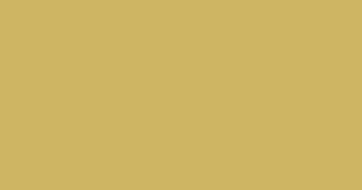 Колір L391 rgb(206, 181, 99)