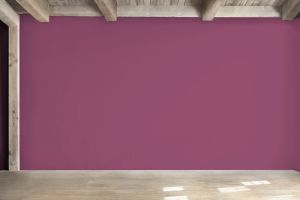 N338 Дикая роза