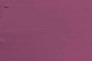 N338 Дикая роза