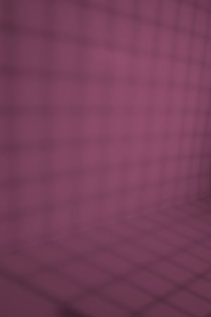 N338 Дикая роза