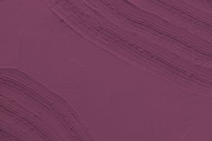 N338 Дикая роза