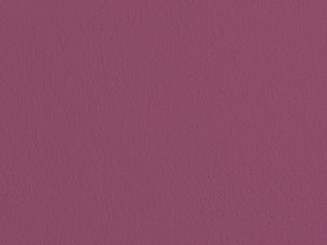 N338 Дикая роза