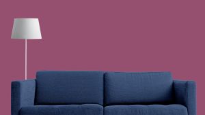 N338 Дикая роза