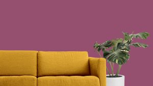 N338 Дикая роза