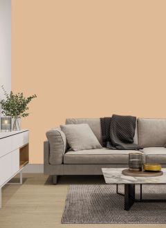 X400